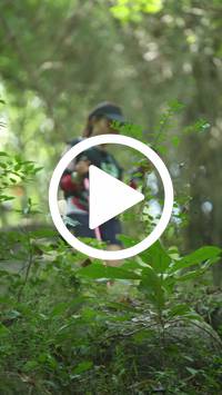 BIB:  <button type="button" onclick="openModal(27935581)" class="btn btn-primary btn-sm float-right" data-toggle="modal" data-target=".modal-high-quality">
                <i class="fa fa-download"></i> Download
                </button>